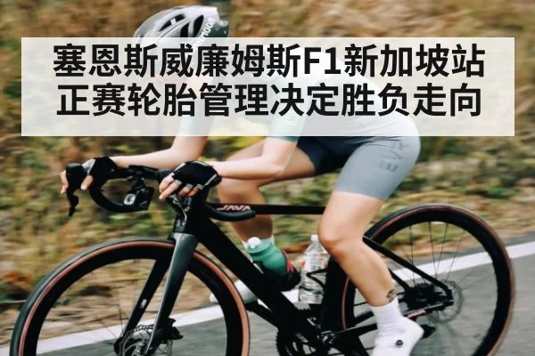 塞恩斯威廉姆斯F1新加坡站正赛轮胎管理决定胜负走向 - kaiyun